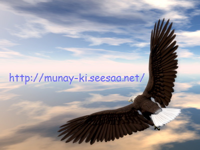 eaglemunay_ki.jpg