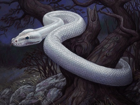 serpentspirita.jpg
